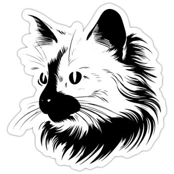 Cat, cat motif - Sticker size S (10 x 10 cm) - white matte - Front