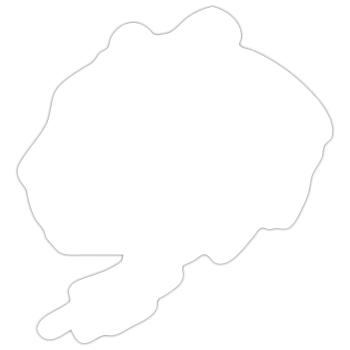 Leopard - Sticker size S (10 x 10 cm) - white matte - Front