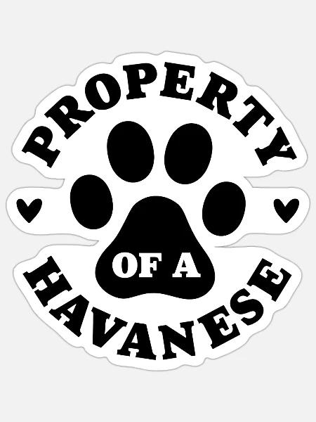 Eigentum eines Havanesers - Sticker Größe S (10 x 10 cm) - Mattweiß