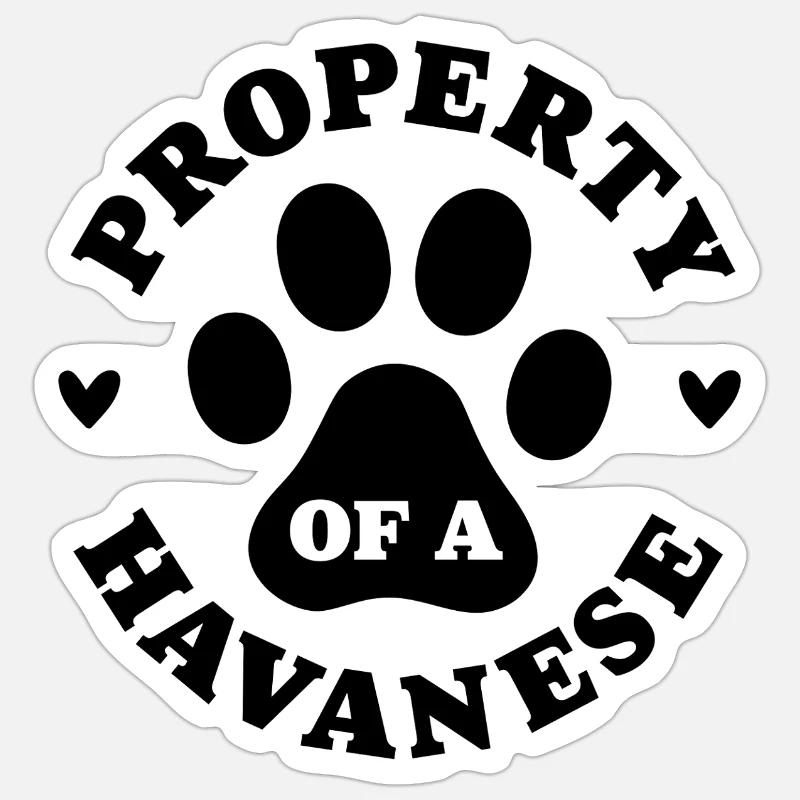 Eigentum eines Havanesers Sticker Größe S (10 x 10 cm)