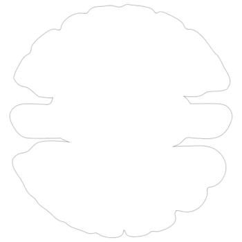 Eigentum eines Maltipoo - Sticker Größe S (10 x 10 cm) - Mattweiß - Vorne