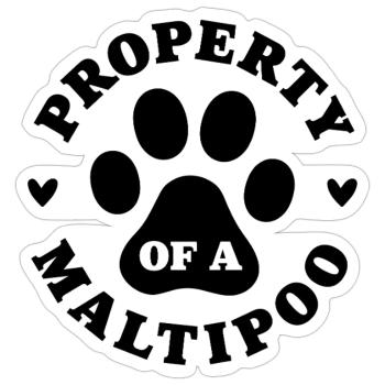 Eigentum eines Maltipoo - Sticker Größe S (10 x 10 cm) - Mattweiß - Vorne