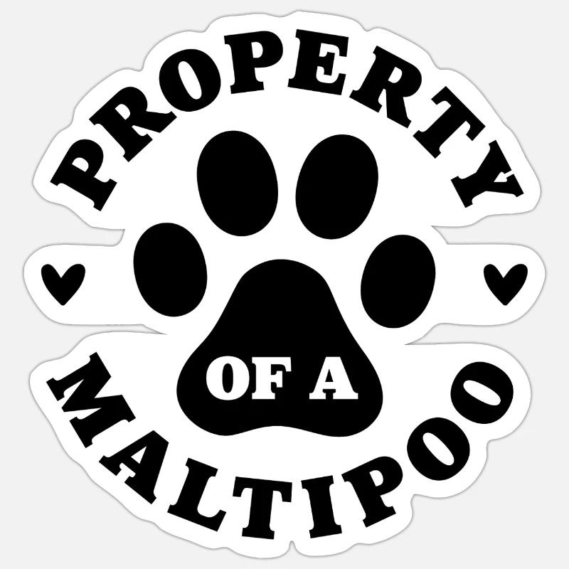 Eigentum eines Maltipoo - Sticker Größe S (10 x 10 cm) - Mattweiß