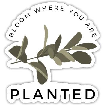 blühe, wo du gepflanzt bist - Sticker Größe S (10 x 10 cm) - Mattweiß - Vorne