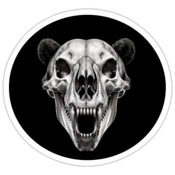 Schädel - Sticker Größe S (10 x 10 cm) - Mattweiß - Vorne