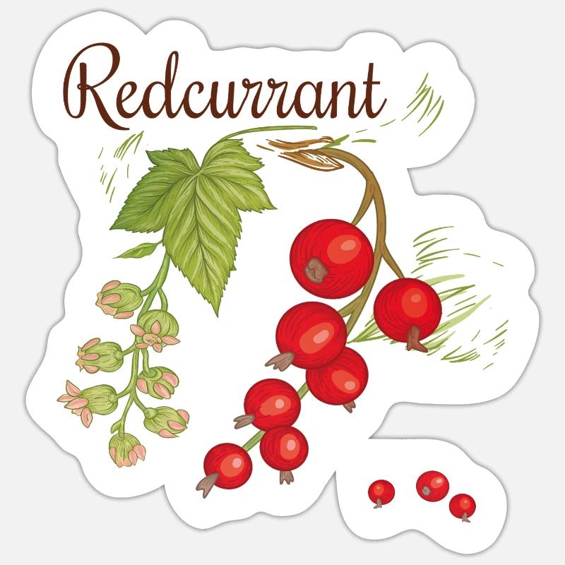 Red currant - Sticker size S (10 x 10 cm) - white matte