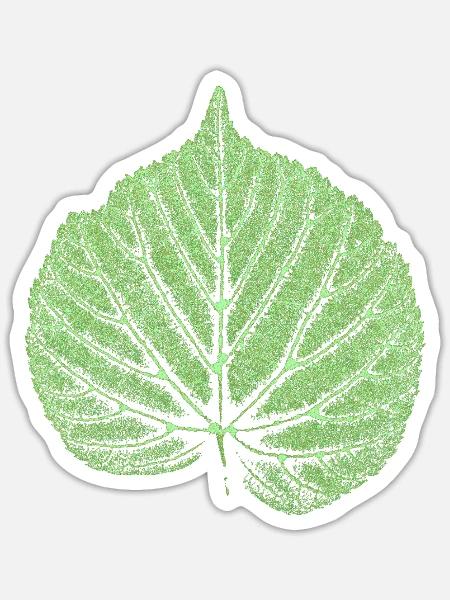 Blatt Linde / Lindenblatt - Natur & Wald  - Sticker Größe S (10 x 10 cm) - Mattweiß