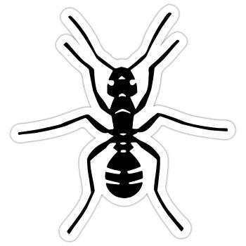 ant, insect, - Sticker size S (10 x 10 cm) - white matte - Front