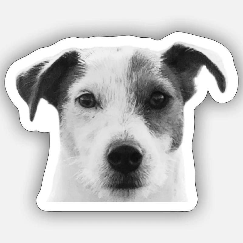 Jack Russel Sticker Größe S (10 x 10 cm)