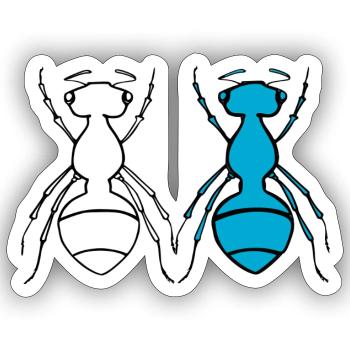 Ant Duo - Sticker Größe S (10 x 10 cm) - Mattweiß - Vorne