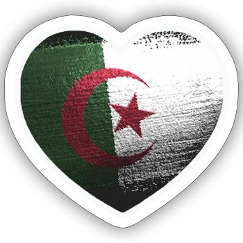 algerie drapeau dz - Sticker taille S (10 x 10 cm) - blanc mat - Devant