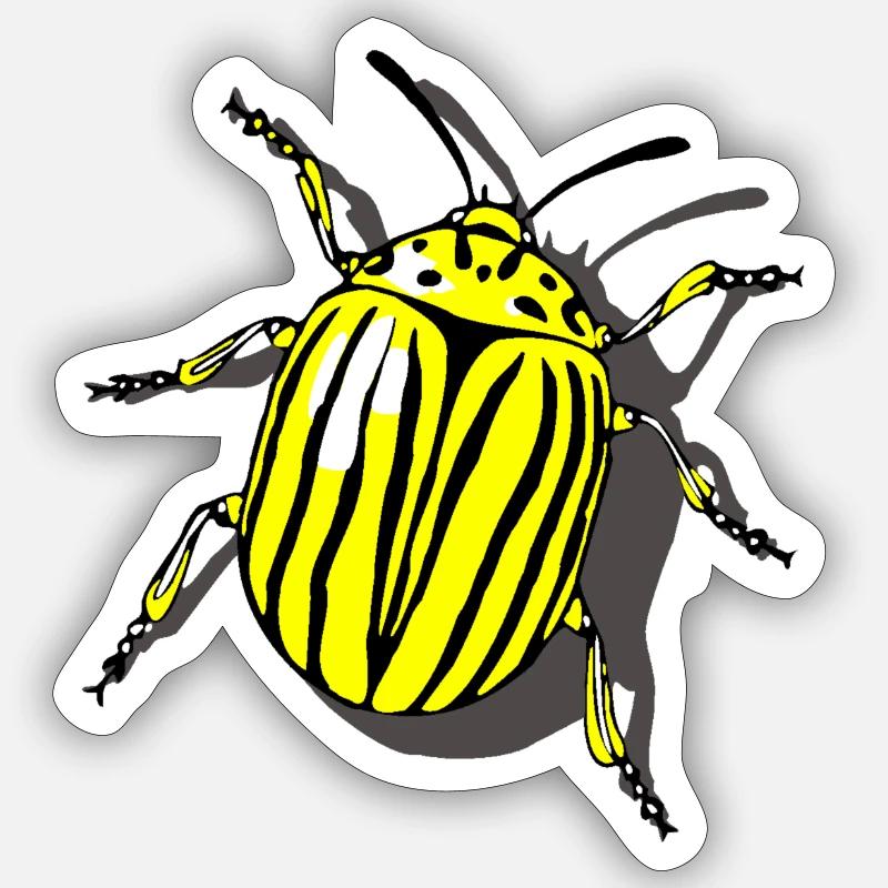 Potato beetle - Sticker size S (10 x 10 cm) - white matte