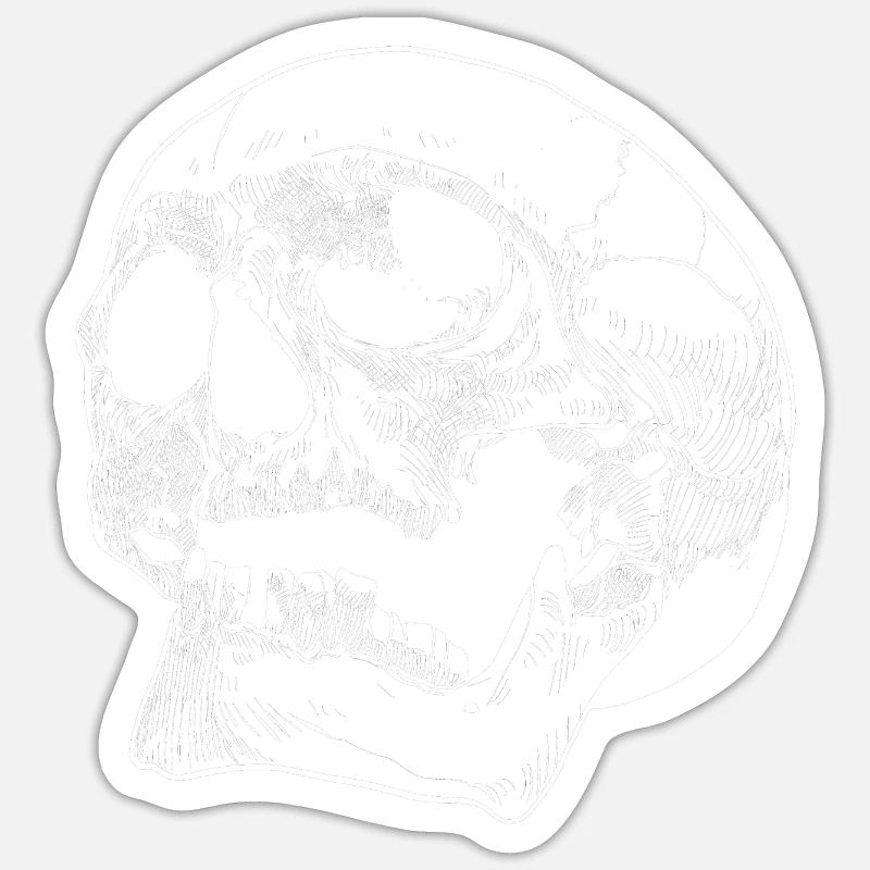 Skull skull skull bone head human Sticker size S (10 x 10 cm)