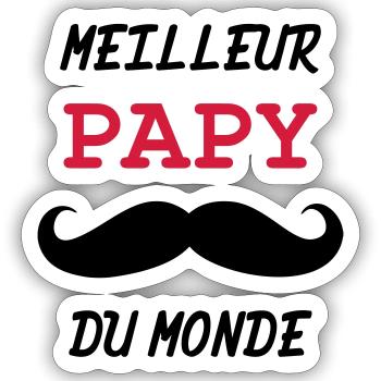 Papy - Famille - Bébé - Naissance - Enfant - Sticker taille S (10 x 10 cm) - blanc mat - Devant