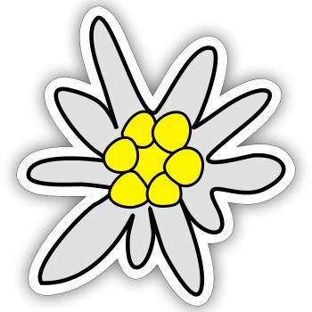 Edelweiss, fleur - Sticker taille S (10 x 10 cm) - blanc mat - Devant