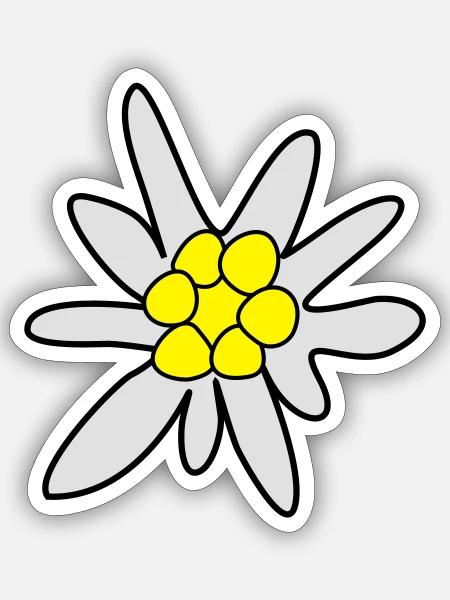 Edelweiss, ghosteweed - Naklejka rozmiar S (10 x 10 cm) - biały matowy