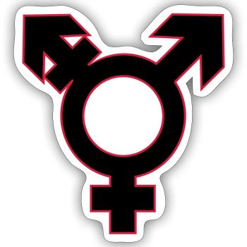 Transgender character gay - gay - gay - Sticker size S (10 x 10 cm) - white matte - Front