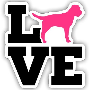 Border Terrier - Sticker taille S (10 x 10 cm) - blanc mat - Devant