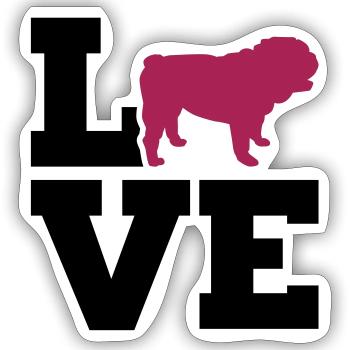 Englische Bulldogge - Sticker Größe S (10 x 10 cm) - Mattweiß - Vorne