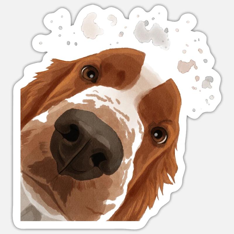 Curious Welsh Springer Spaniel Dog - Sticker size S (10 x 10 cm) - white matte