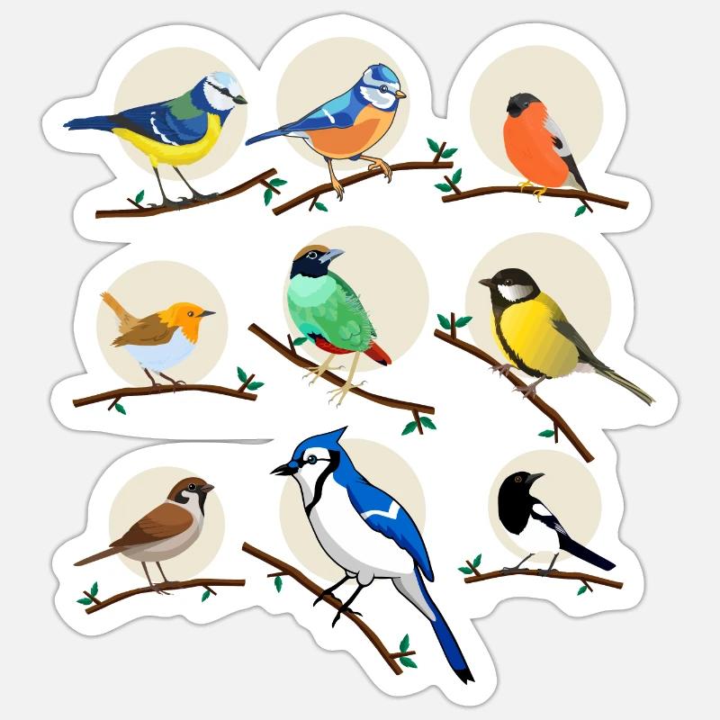 oiseaux, oiseaux, mésanges, - Sticker taille S (10 x 10 cm) - blanc mat