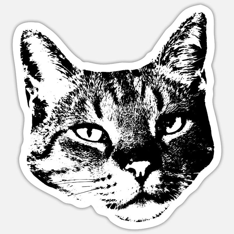Katze Kätzchen Katzenshirt Geschenk - Sticker Größe S (10 x 10 cm) - Mattweiß