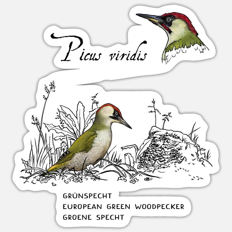 Pic vert - Sticker taille S (10 x 10 cm) - blanc mat