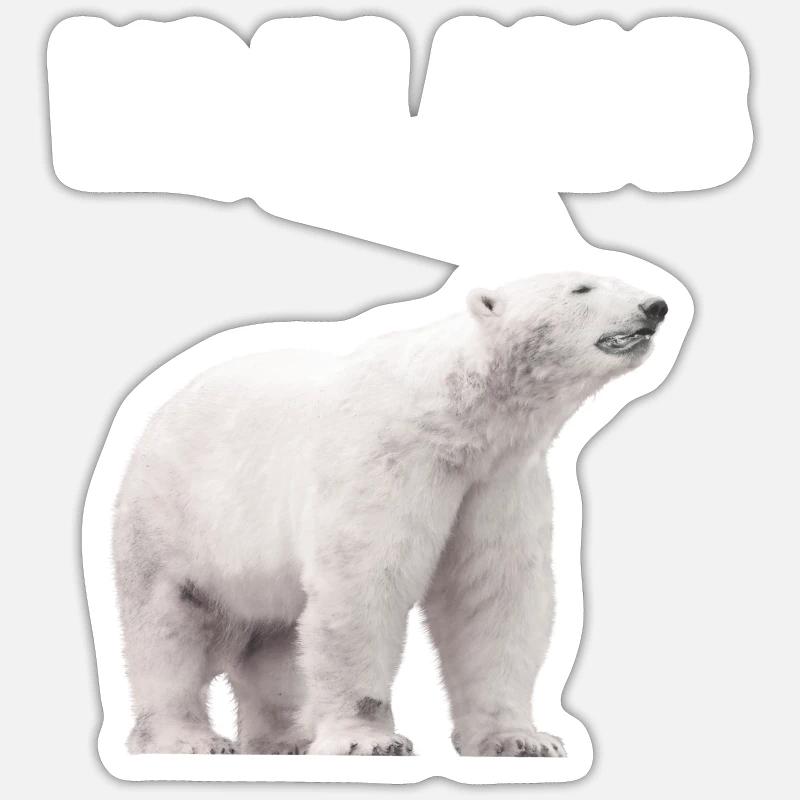 No Plan B Protest Klimaschutz Eisbär Welt Sticker Größe S (10 x 10 cm)