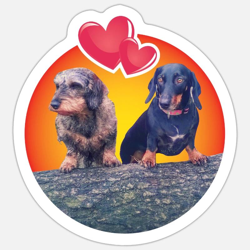 Lovable Dachshunds Sticker size S (10 x 10 cm)