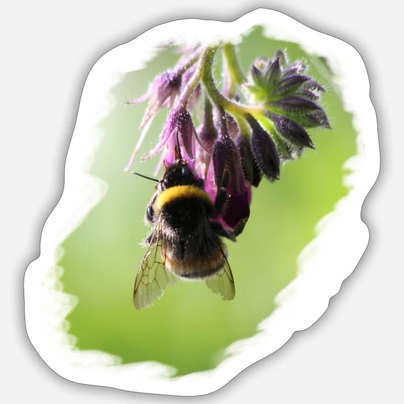 Abeille sur fleur gros plan - Sticker taille S (10 x 10 cm) - blanc mat