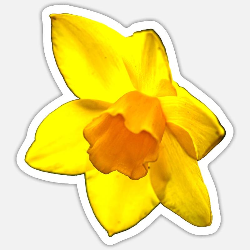 Blume, A731126 Sticker Größe S (10 x 10 cm)