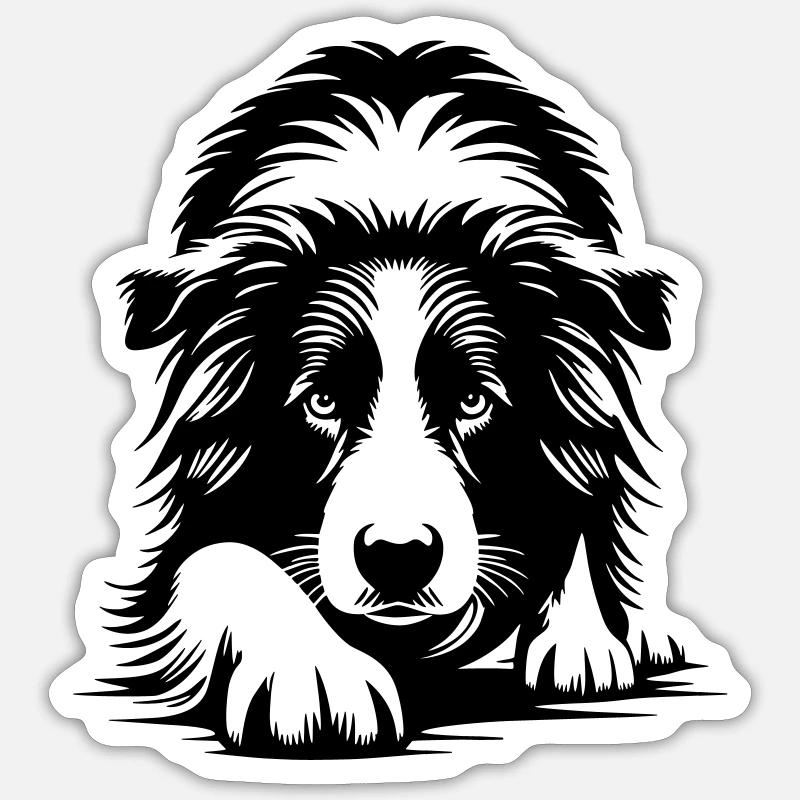 Border Collie Sticker taille S (10 x 10 cm)