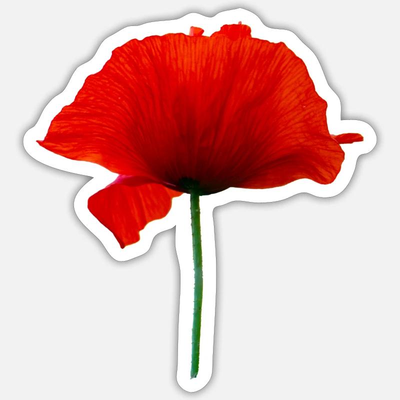 Mohnblume Sticker Größe S (10 x 10 cm)
