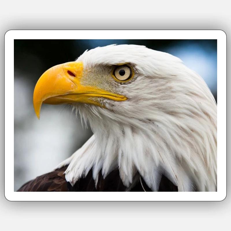 Eagle Sticker size S (10 x 10 cm)