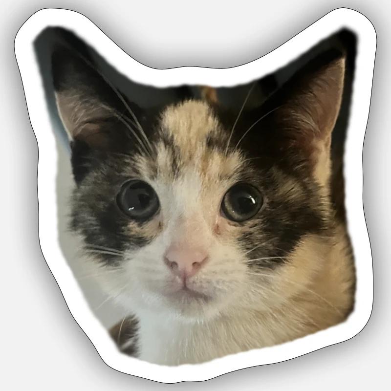 pops1 - Sticker size S (10 x 10 cm) - white matte