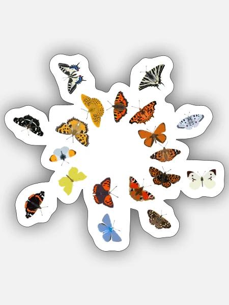 Schmetterlinge: deutsche Falter - Sticker Größe S (10 x 10 cm) - Mattweiß