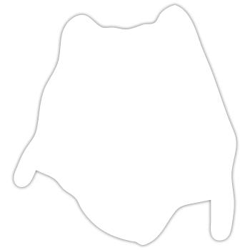 ChowChow chien lion chien chemise tshirt chien - Sticker taille S (10 x 10 cm) - blanc mat - Devant