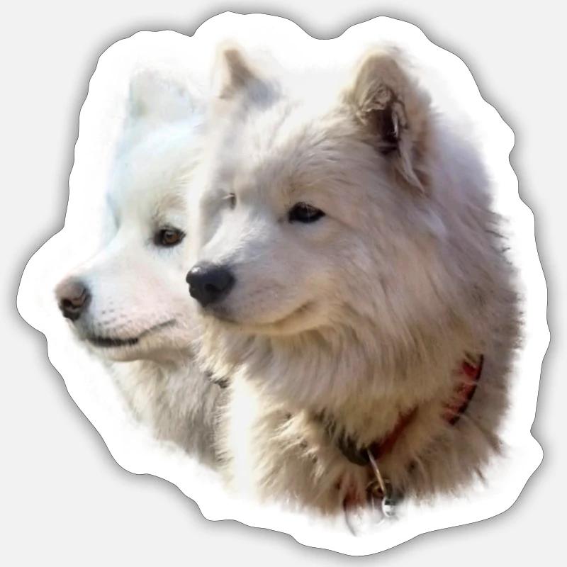 Ajoki undCodi - Sticker Größe S (10 x 10 cm) - Mattweiß