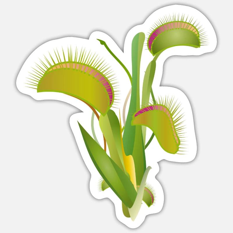 Venus flytrap a fascinating indoor plant Sticker size S (10 x 10 cm)