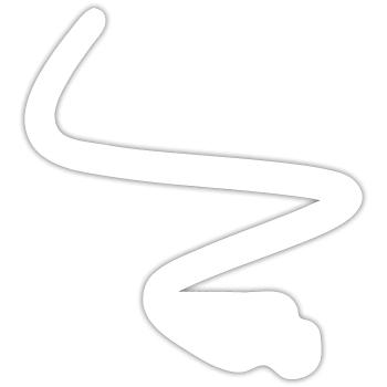 Motocross Enduro Racing Dirtbike Downhill Forêt - Sticker taille S (10 x 10 cm) - blanc mat - Devant
