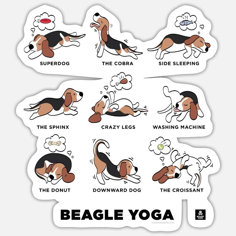 BEAGLE YOGA - Sticker size S (10 x 10 cm) - white matte