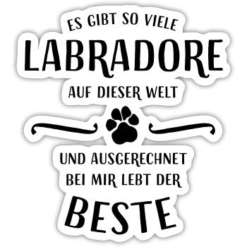 Es gibt so viele Labradore auf dieser Welt... - Sticker Größe S (10 x 10 cm) - Mattweiß - Vorne