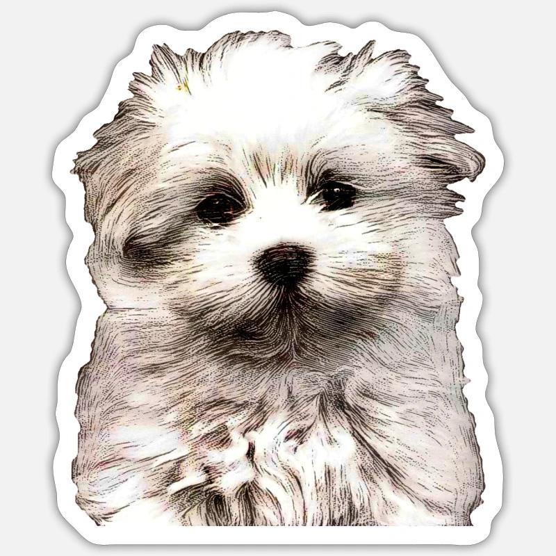 Bichon Maltais - Sticker taille S (10 x 10 cm) - blanc mat