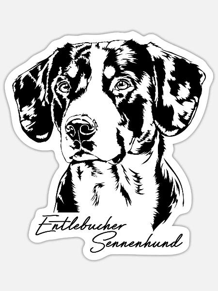 ENTLEBUCHER SENNEHUND Portrait positiv Wilsigns S - Sticker Größe S (10 x 10 cm) - Mattweiß