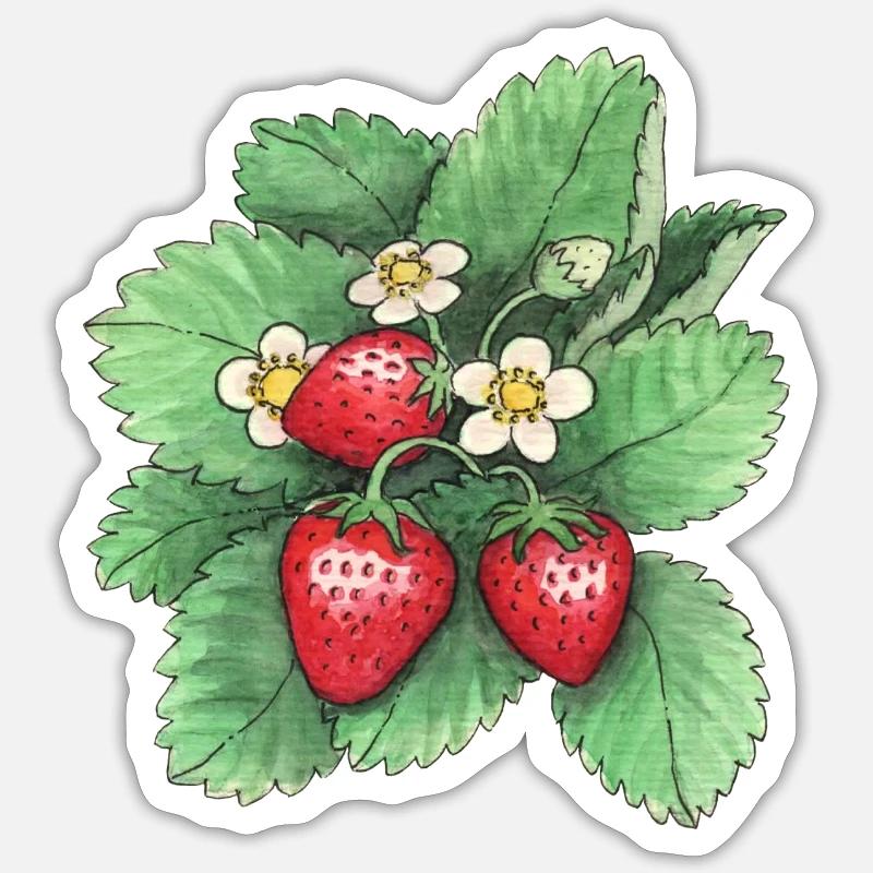 Fraises - Sticker taille S (10 x 10 cm) - blanc mat