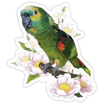 L’amazone à front bleu - Sticker taille S (10 x 10 cm) - blanc mat - Devant