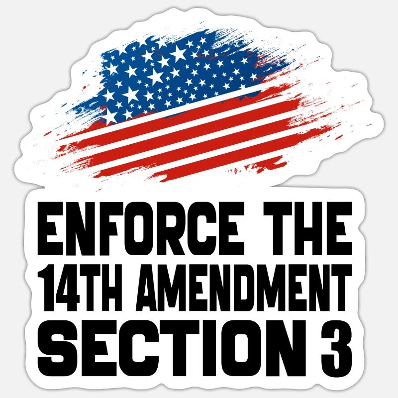 Enforce The 14TH Amendment Section 3 Sticker size S (10 x 10 cm)