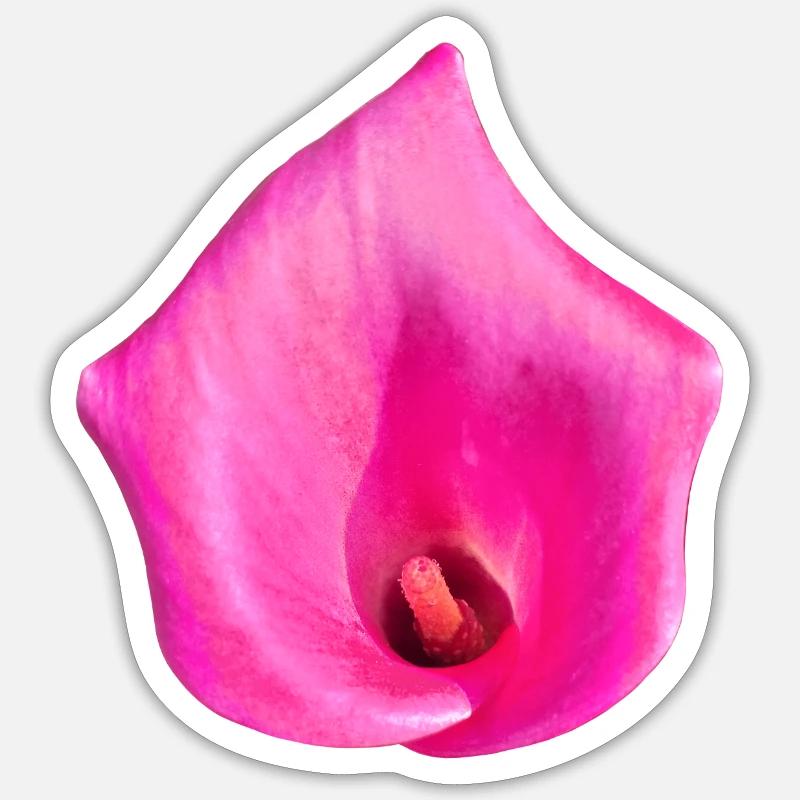 CALLA LILY Sticker size S (10 x 10 cm)