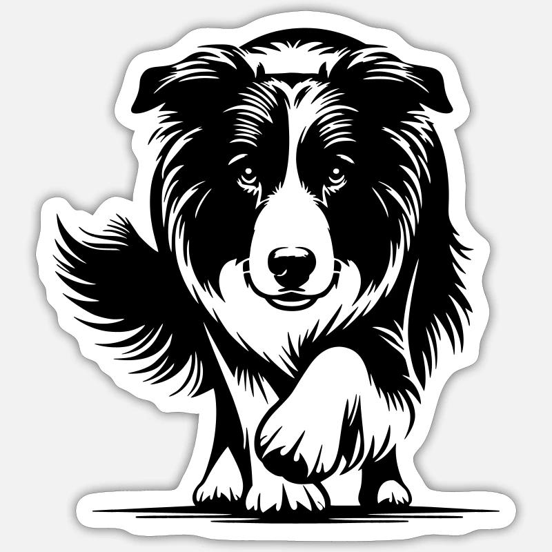 Border Collie - Sticker taille S (10 x 10 cm) - blanc mat
