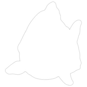 Piranhas - Sticker size S (10 x 10 cm) - white matte - Front